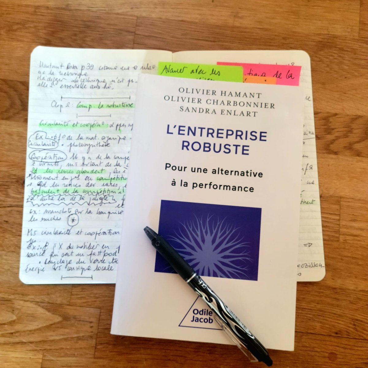 La robustesse des organisations, boussole viable ou utopie ? 